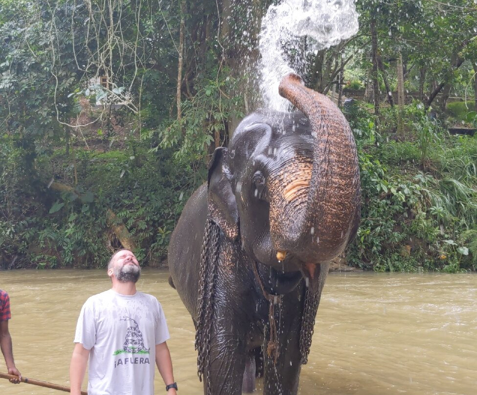 Ceylonka Tours-Pamunugama必去景点