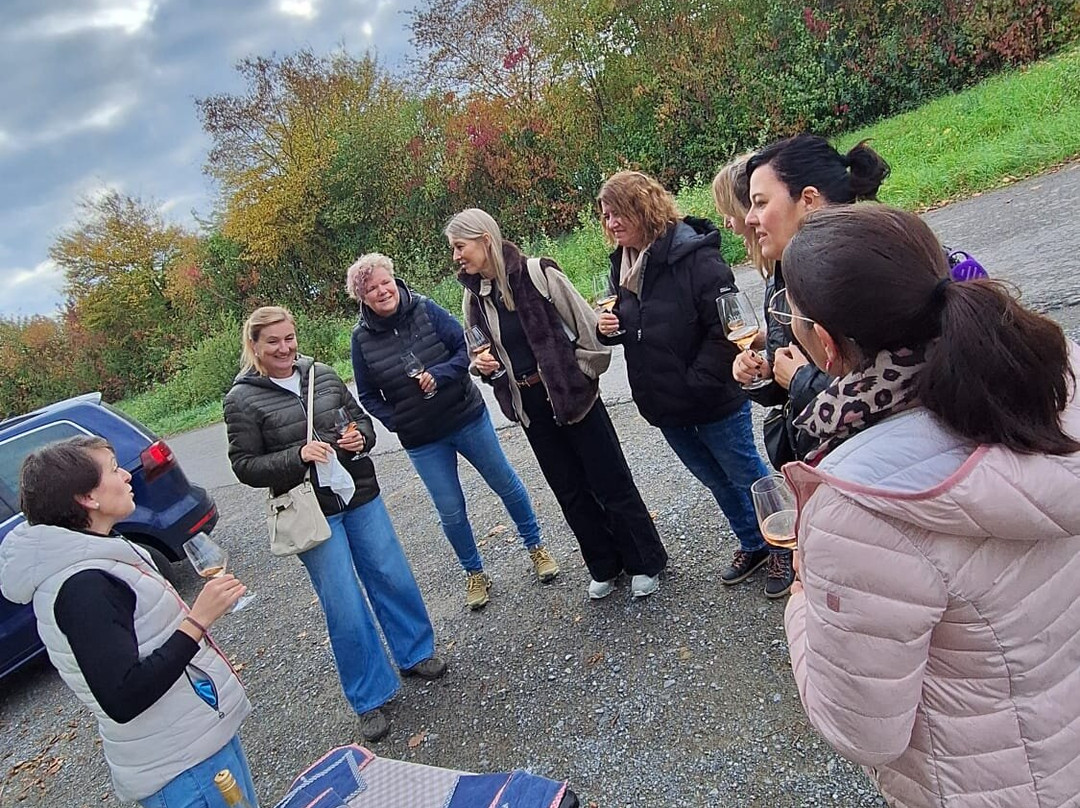Gästeführerin Manuela Lösch-Schonungen必去景点