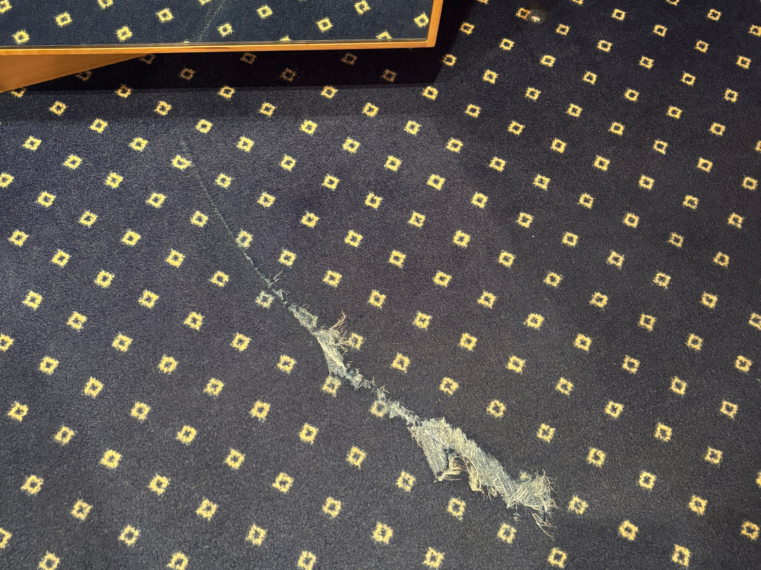 La Rondinaia in Eurocongressi Hotel主图