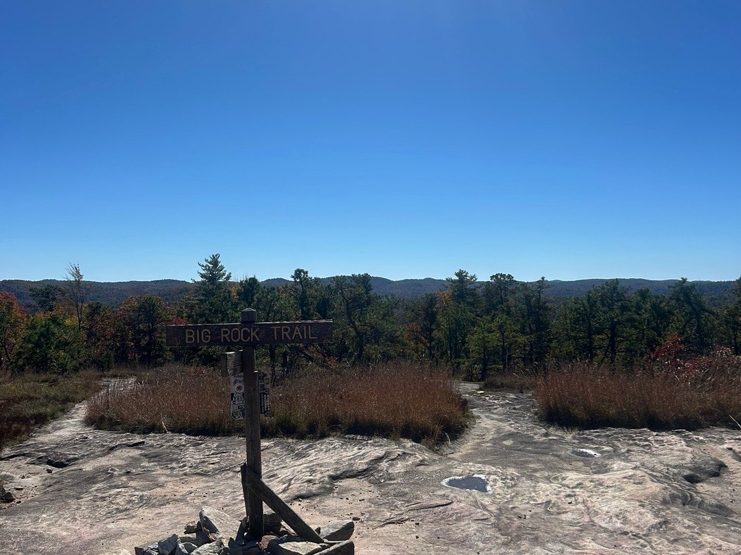 The Bike Farm-Pisgah Forest必去景点