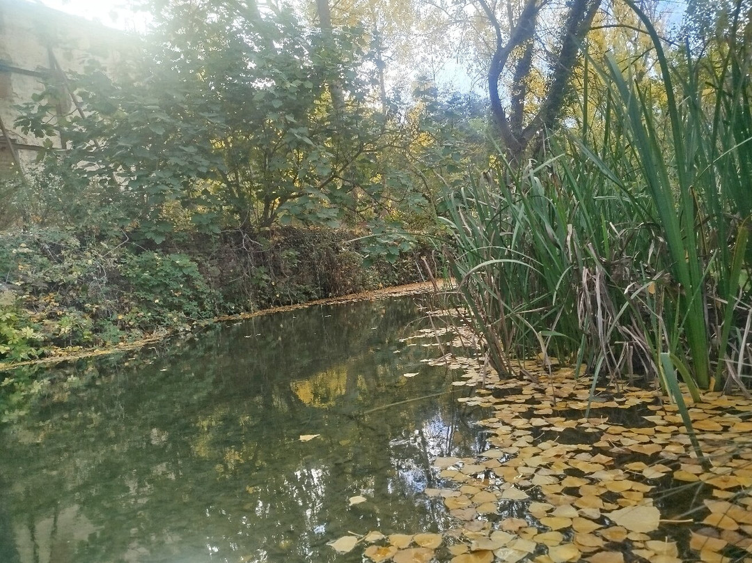 Moli L'Ombria-Banyeres de Mariola必去景点