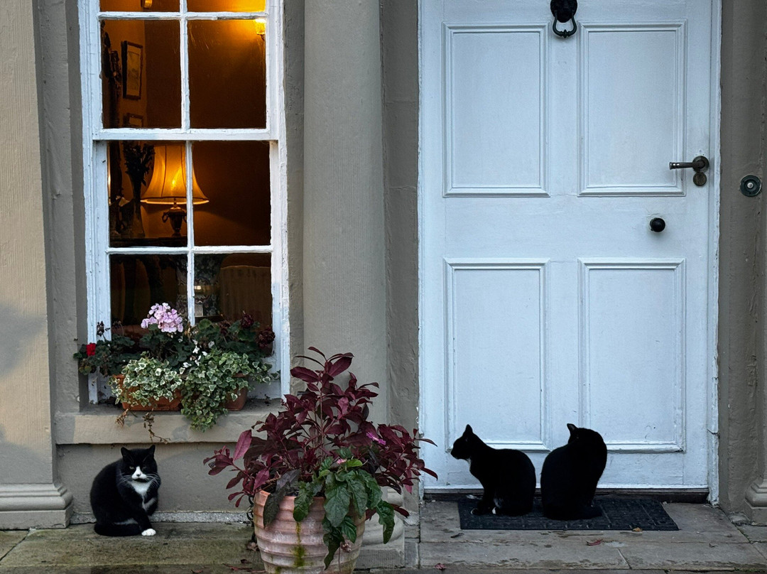 Castle Grove Country House Hotel主图