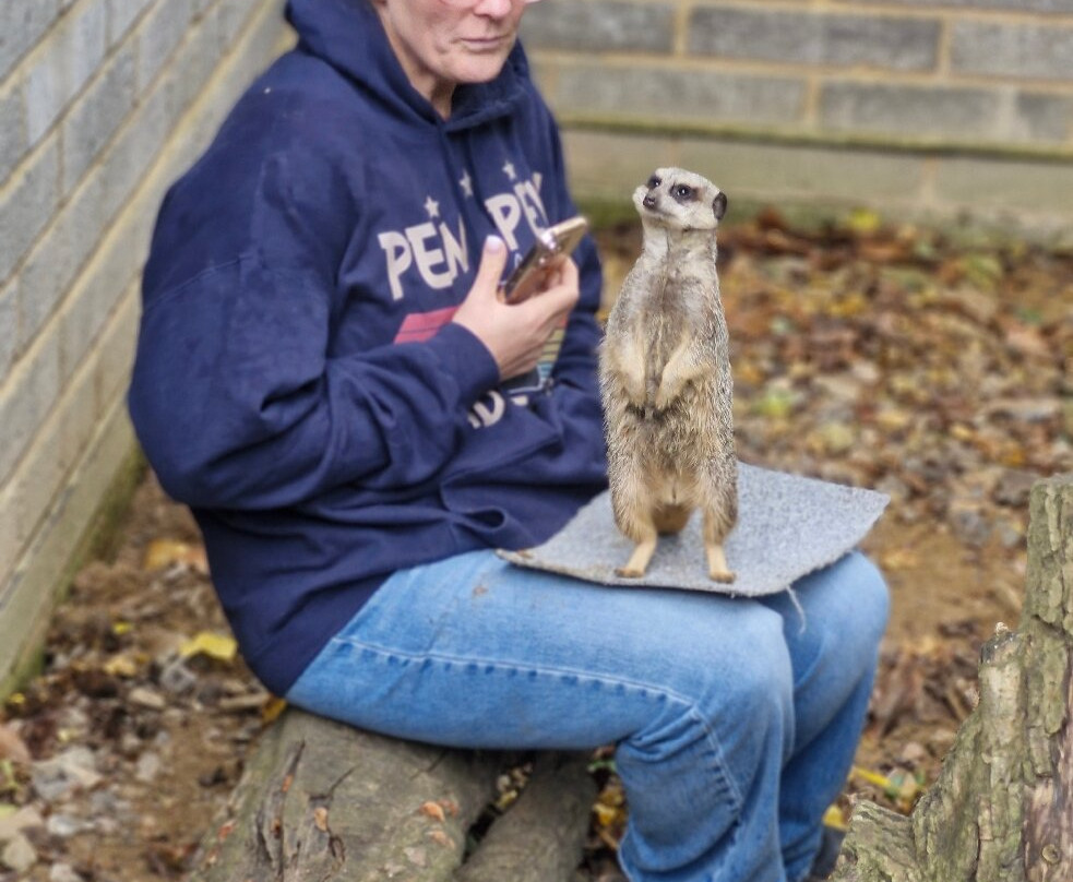 Kent Owl Academy-梅德斯通必去景点