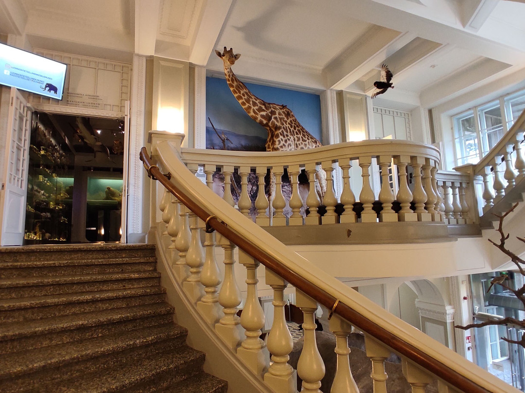 自然历史博物馆-赫尔辛基必去景点