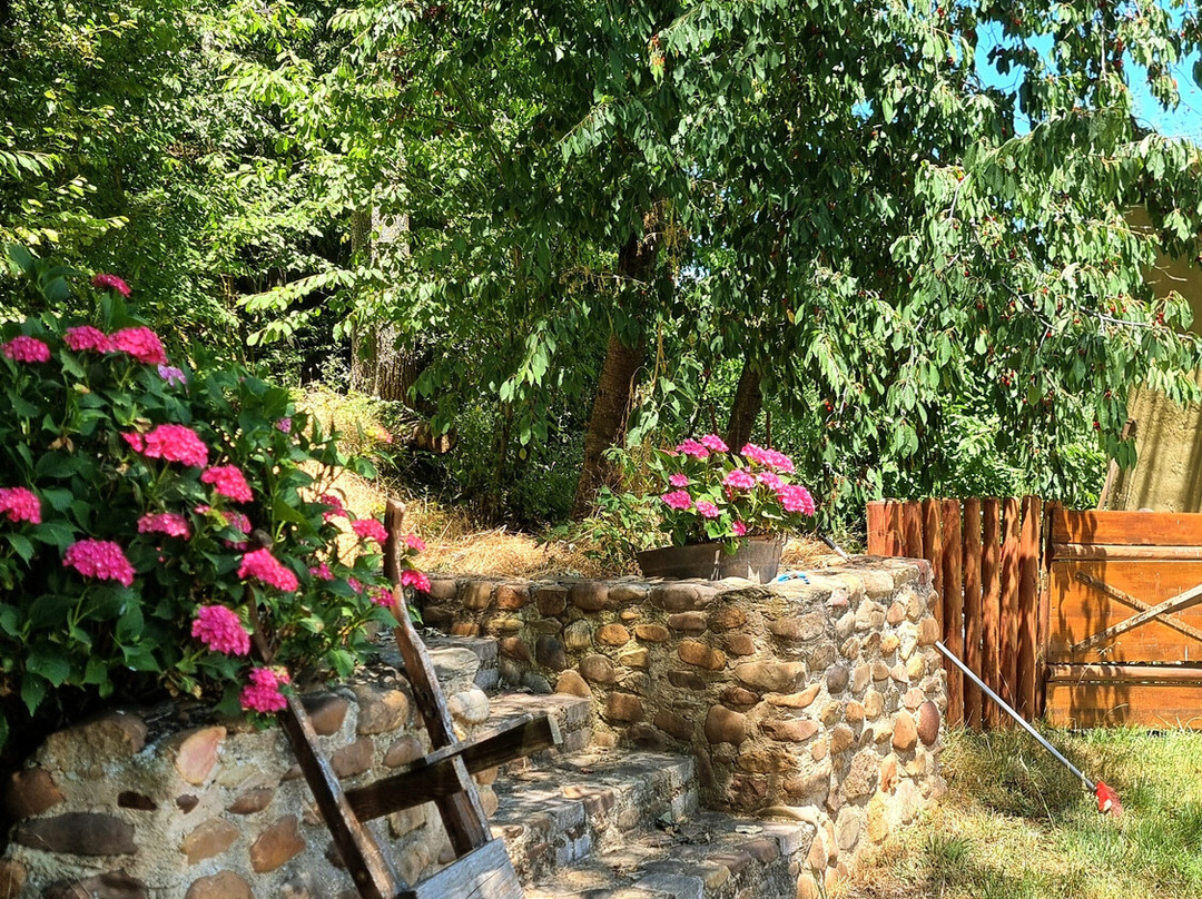 Molino Galochas主图