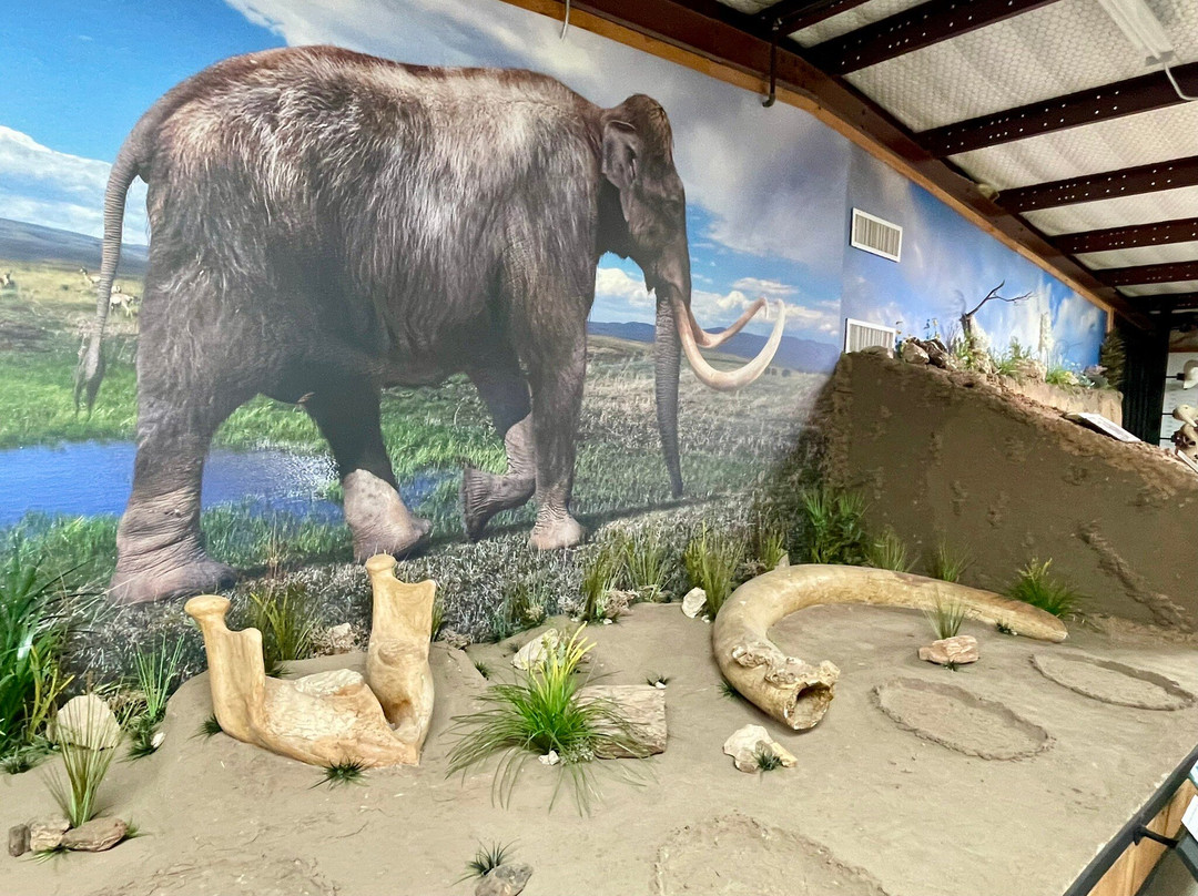 Museum of the Plains-Perryton必去景点