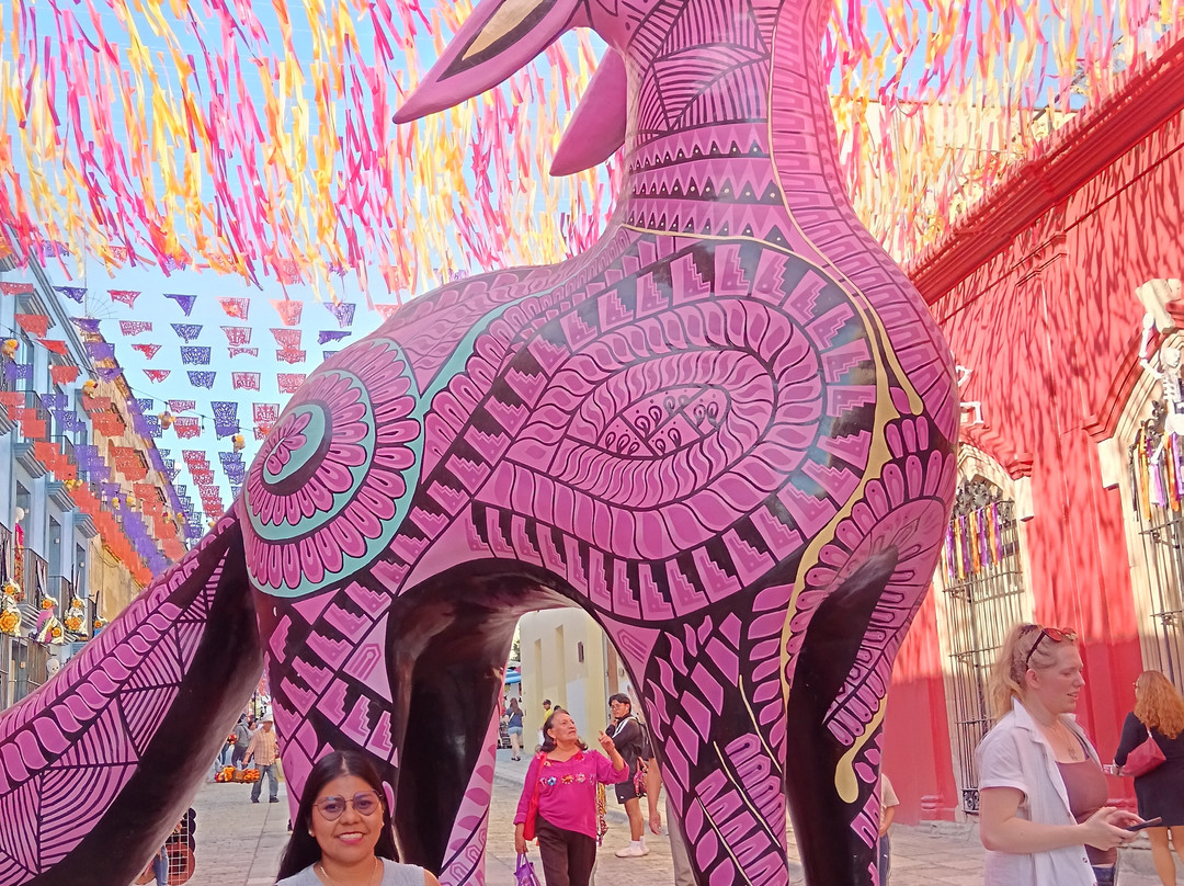 Jar8's Tours-Nanchital de Lazaro Cardenas del Rio必去景点