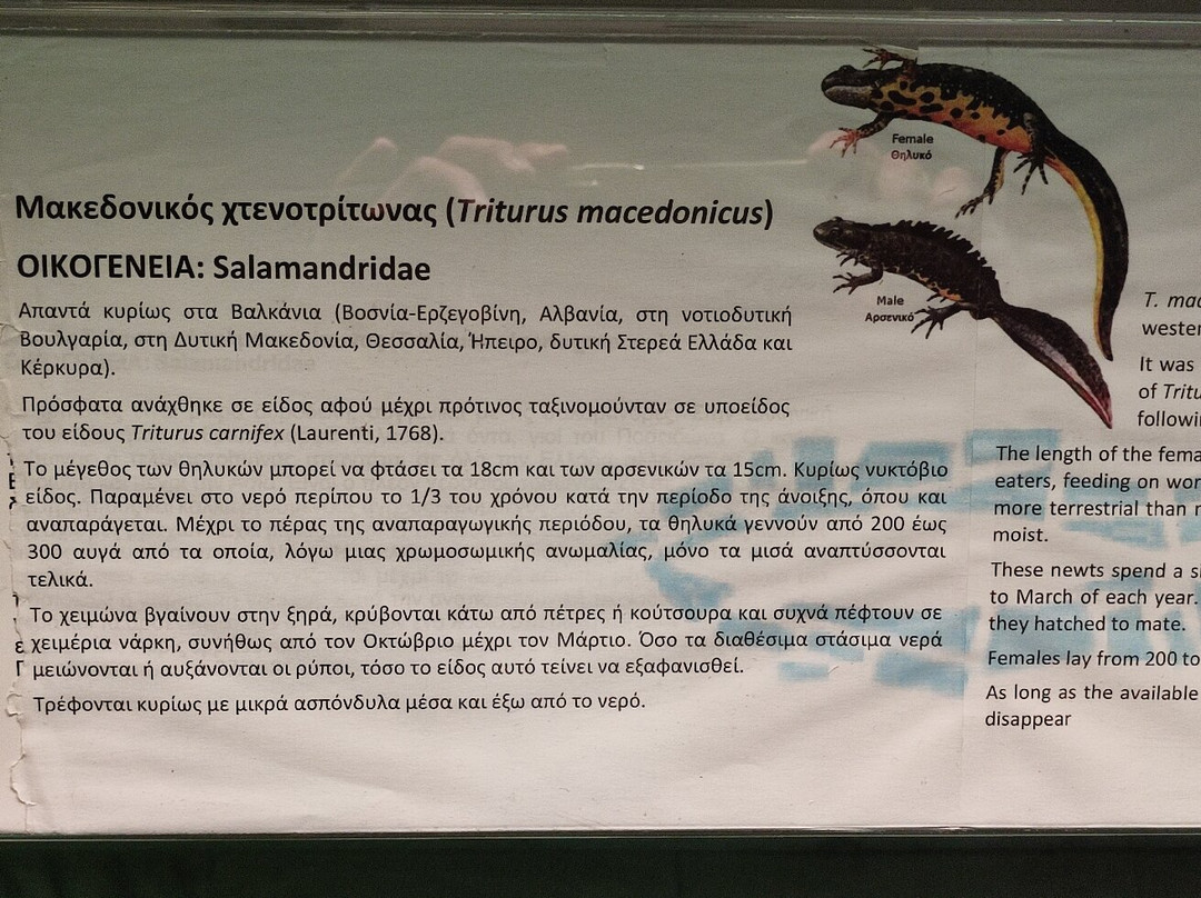 Kastoria Aquarium-卡斯托里亚必去景点