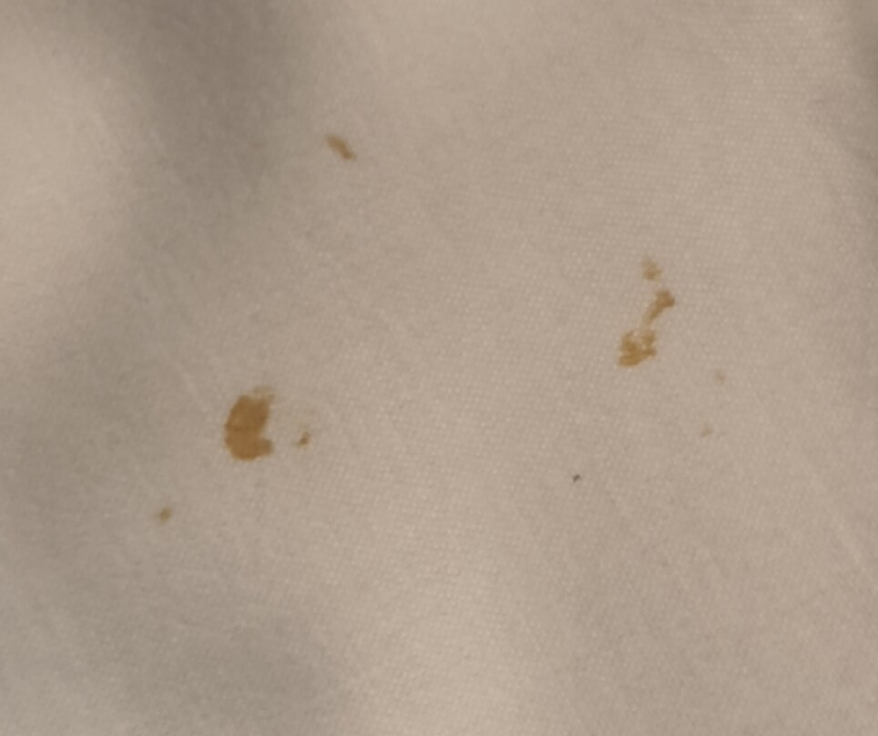 南特圣伊尔布朗宜必思酒店主图