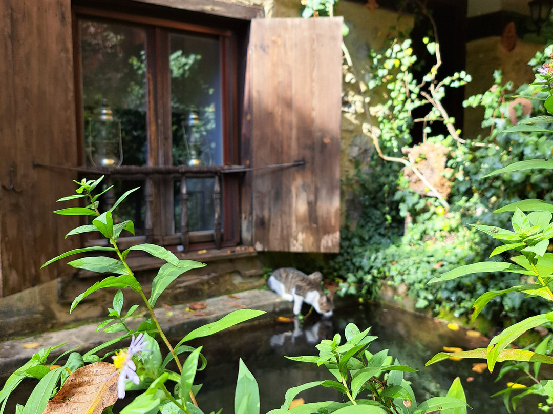 Yeşil Çizme Doğa Evi主图