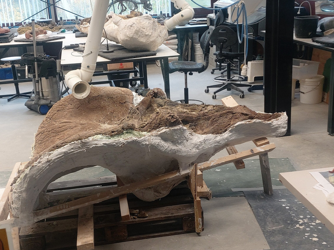 Het Oertijdmuseum-Boxtel必去景点