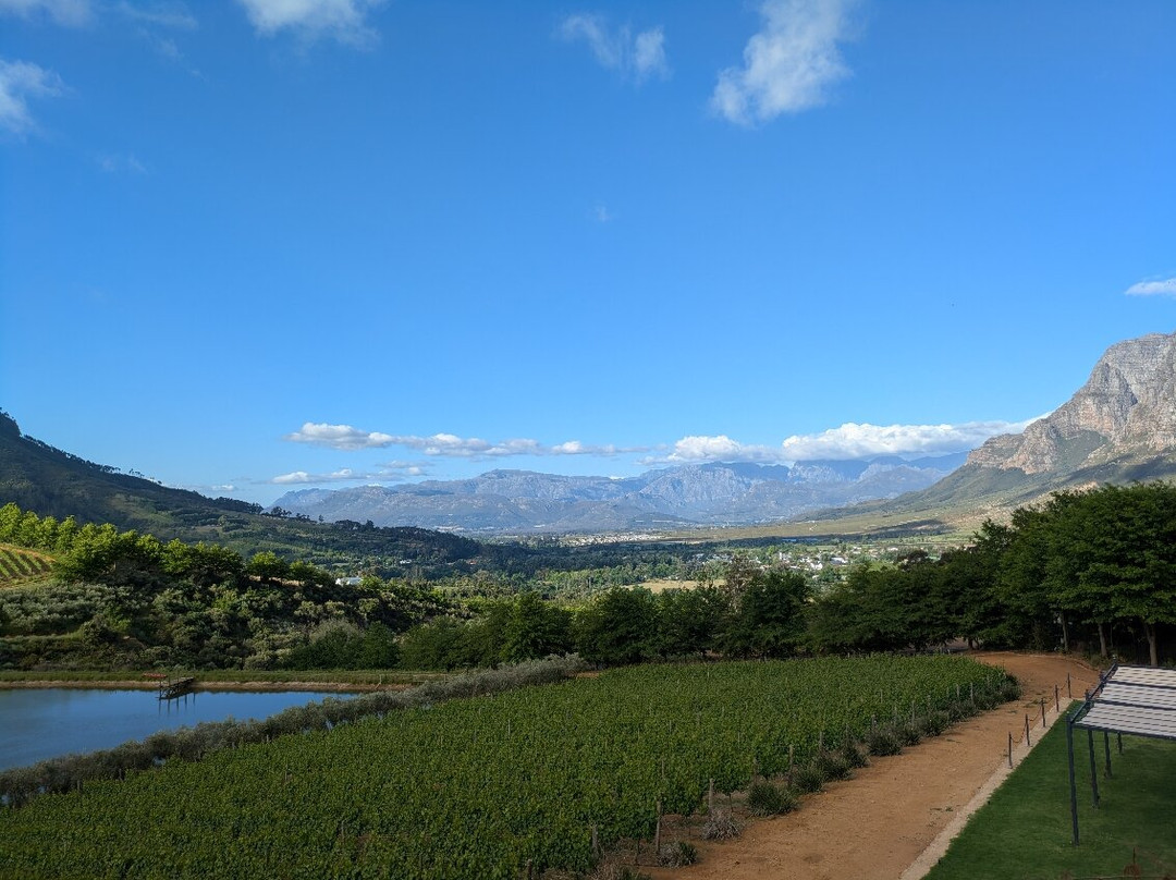 Franschhoek Wine Tram-法兰舒克必去景点