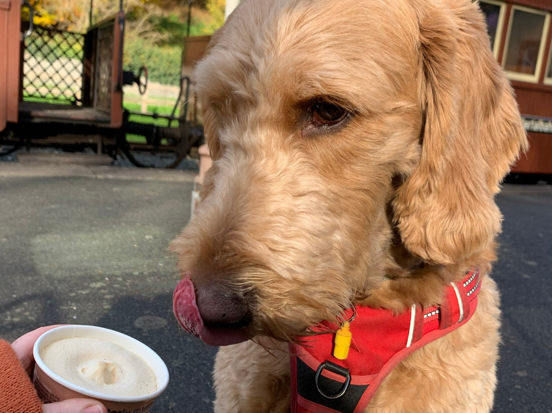 Welshpool and Llanfair Light Railway-Welshpool必去景点