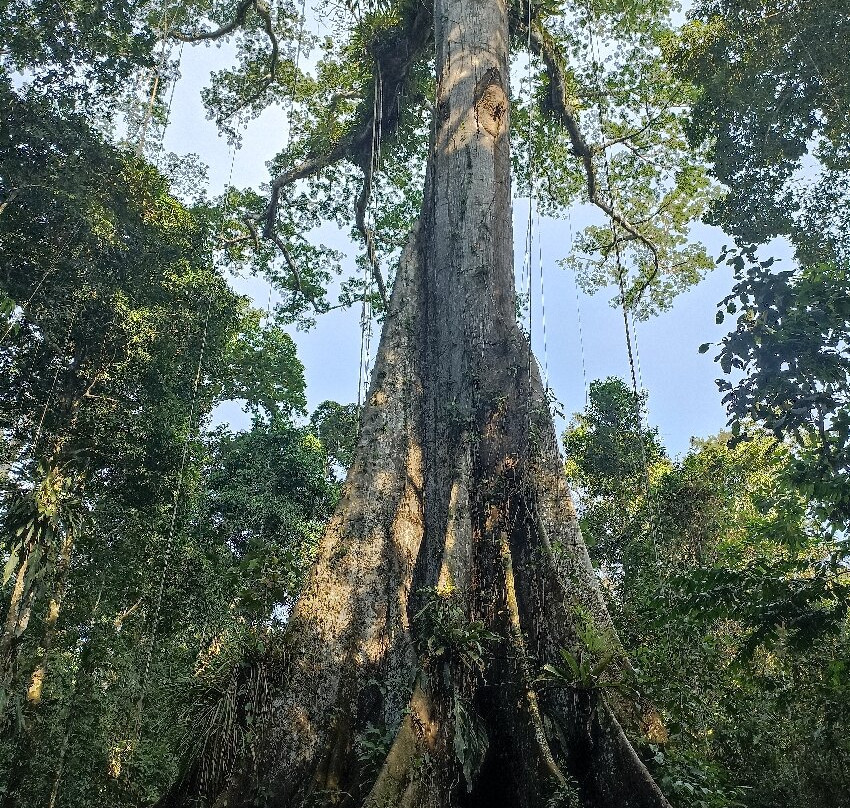 Amazon Discovery-伊基托斯必去景点