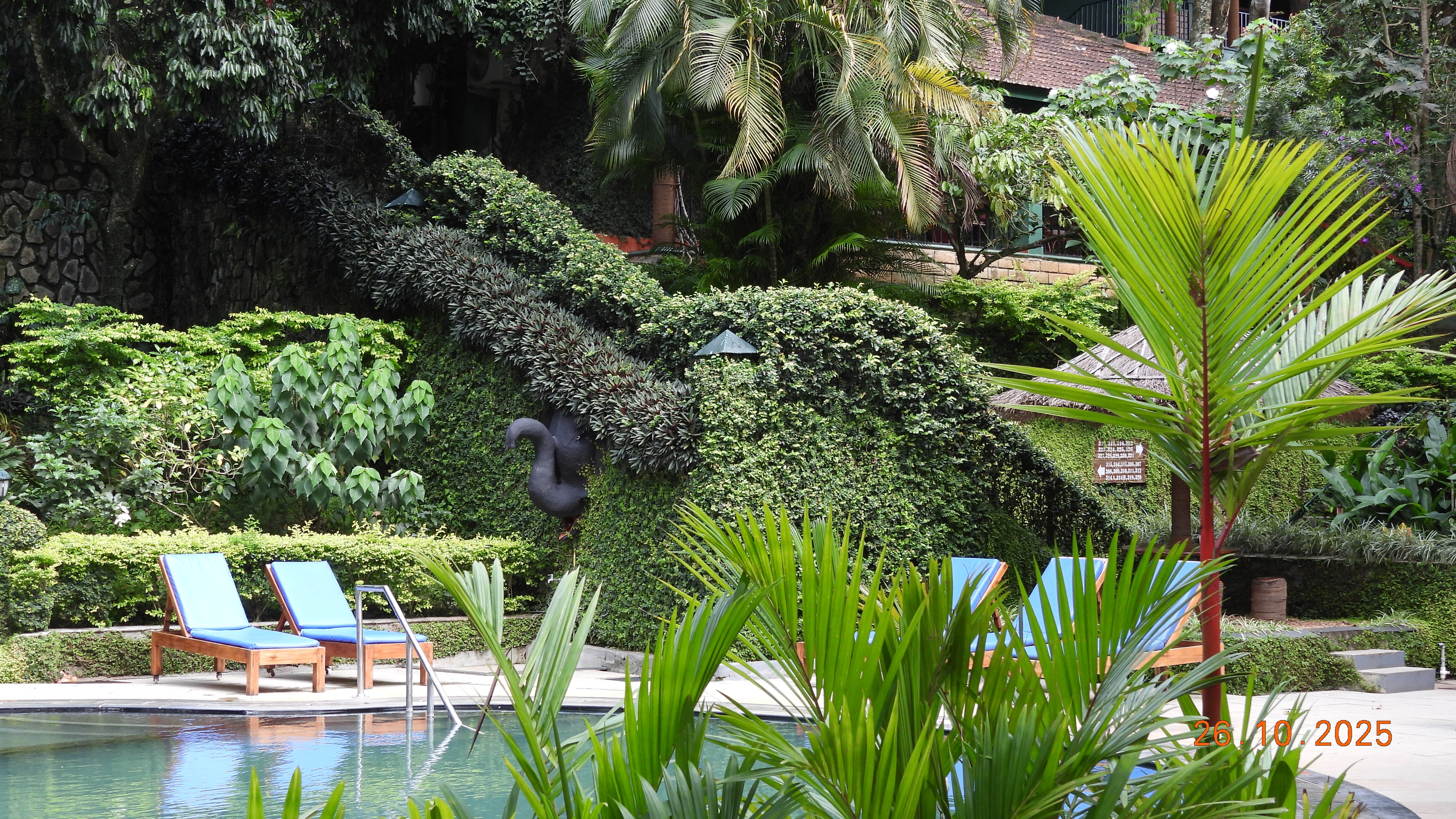 Cardamom County by Xandari-泳池