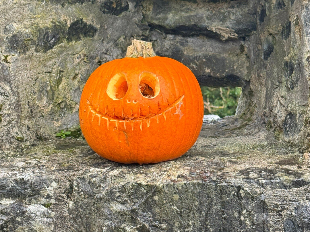 Aughnanure Castle-Oughterard必去景点