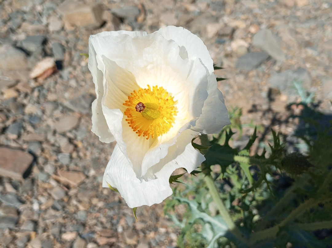Ecoturismo La Serena-拉塞雷纳必去景点