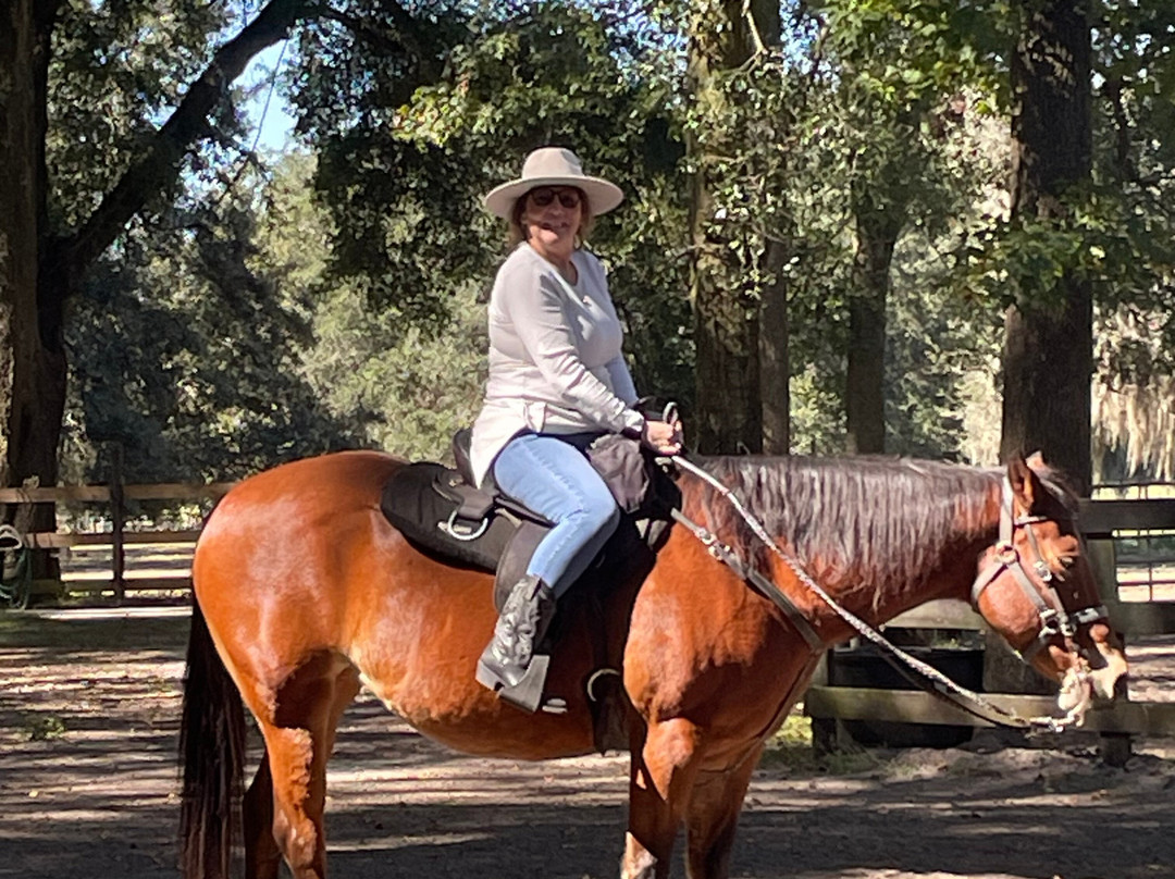 Canyons Zip Line & Canopy Tours-奥卡拉必去景点