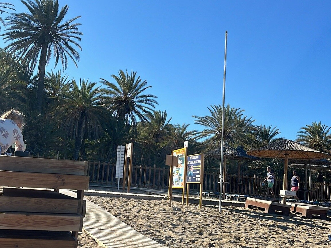 Vai Beach-Vai必去景点