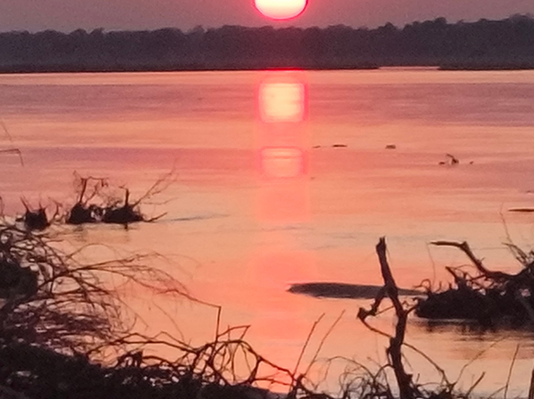 River Horse Safaris-Chirundu必去景点
