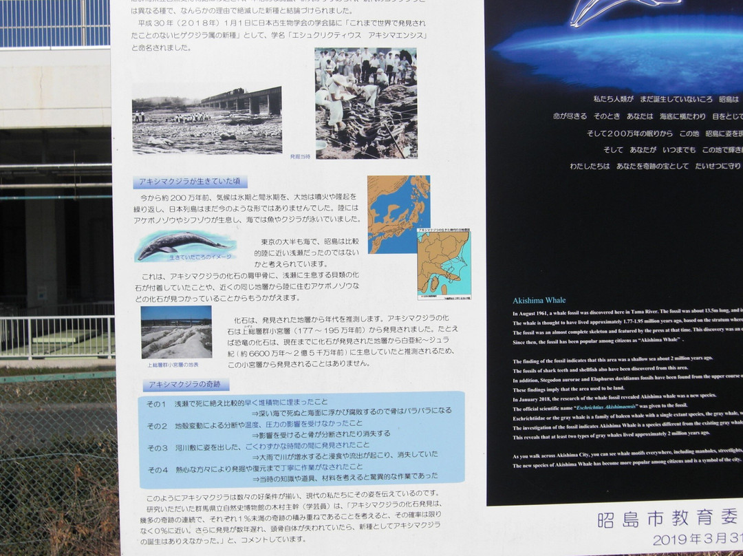 Akishimakujira de Tochi-昭岛市必去景点