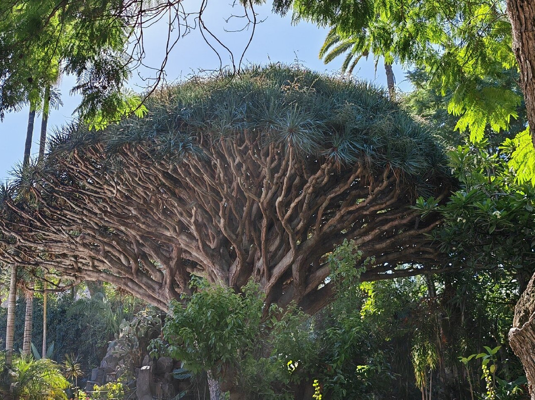 Jardines de la Marquesa-Arucas必去景点