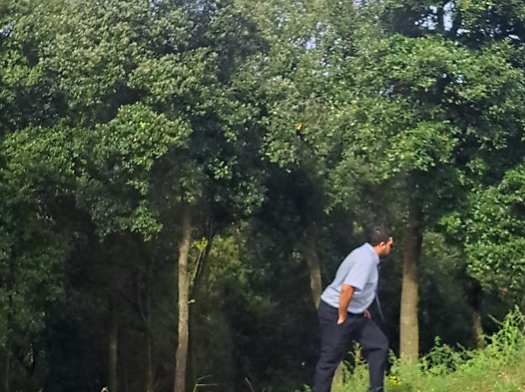 Autocorb-Corbera de Llobregat必去景点