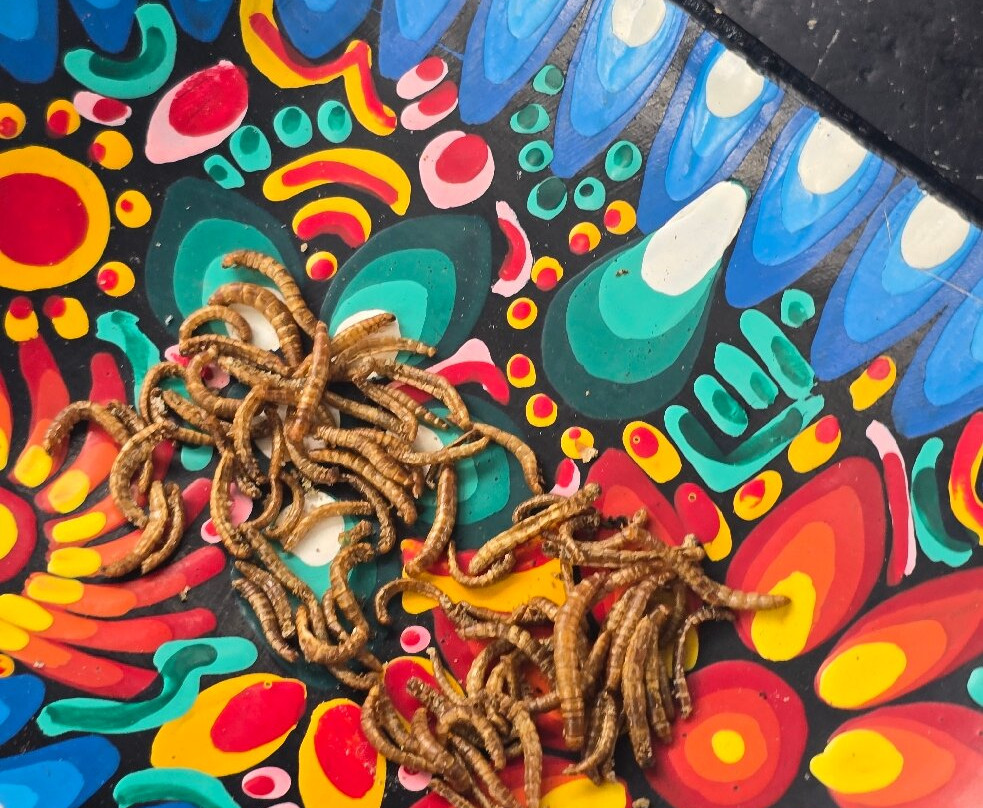 Wikiri Sapoparque-基多必去景点