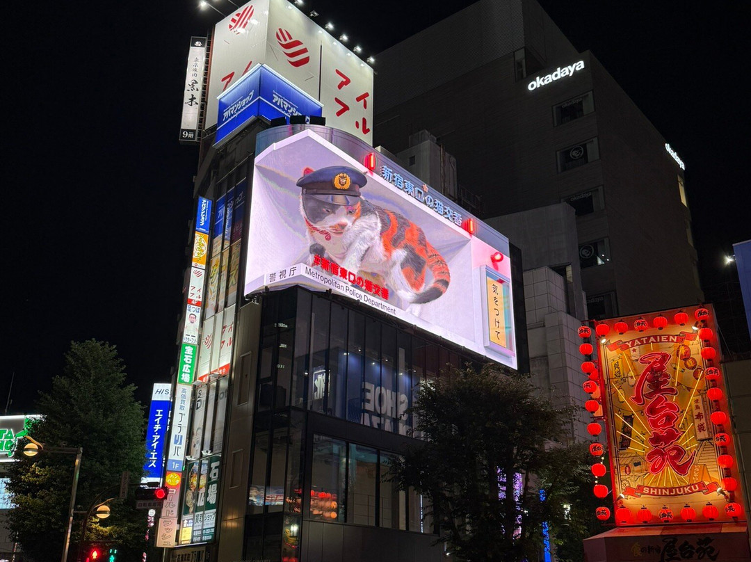 Giant 3d Cat Display Billboard-Shinjuku 3 Chome必去景点