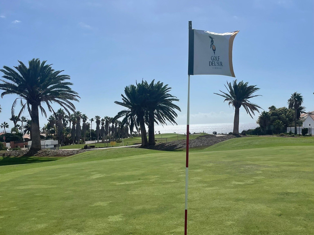 高尔夫球场区-Golf del Sur必去景点