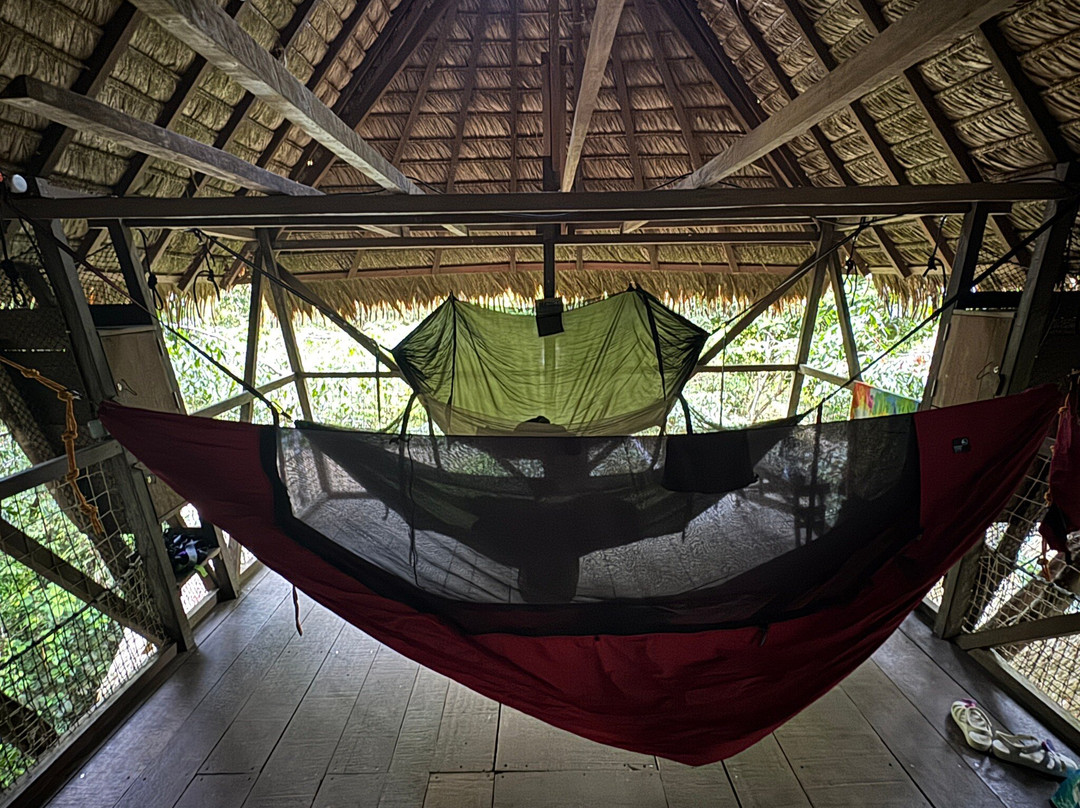 Camp Canopée-Kourou必去景点