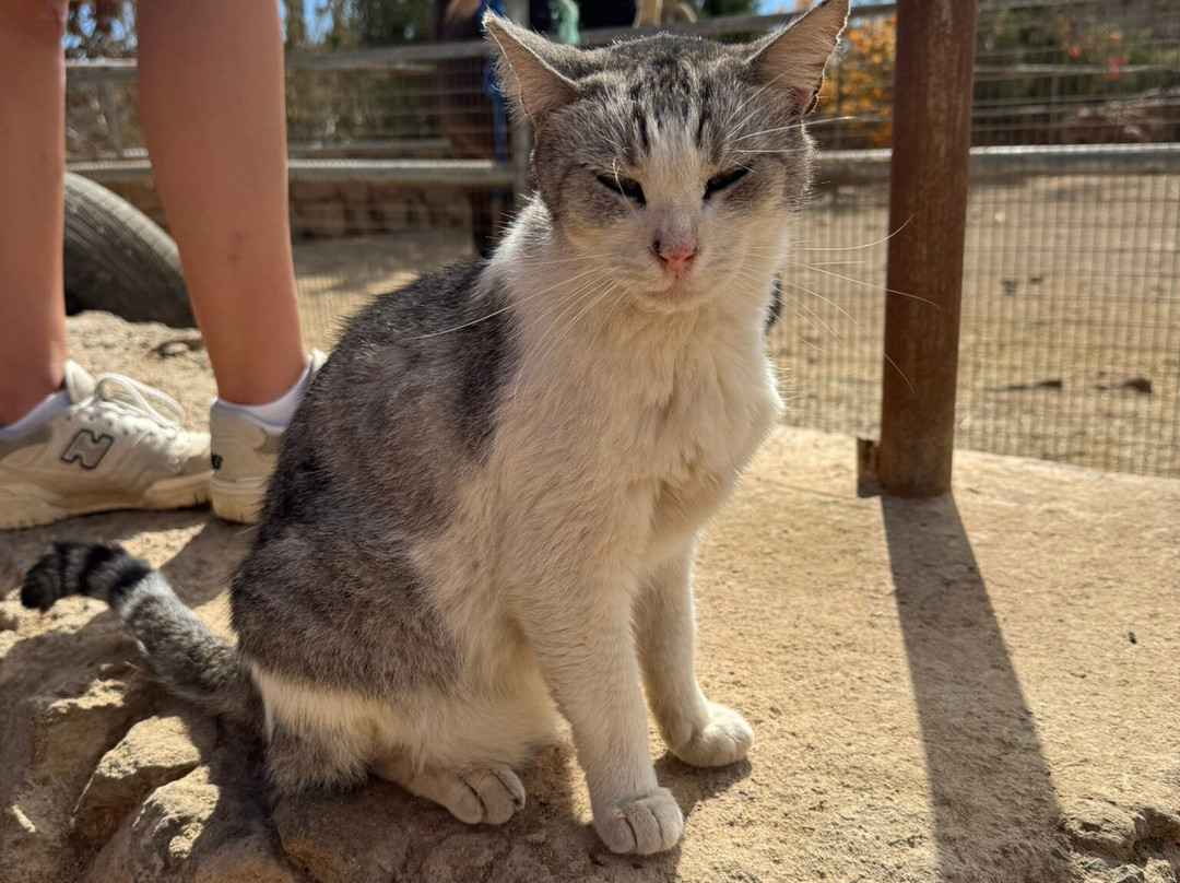 Tenerife Animal Sanctuary-圣克鲁斯-德特内里费必去景点