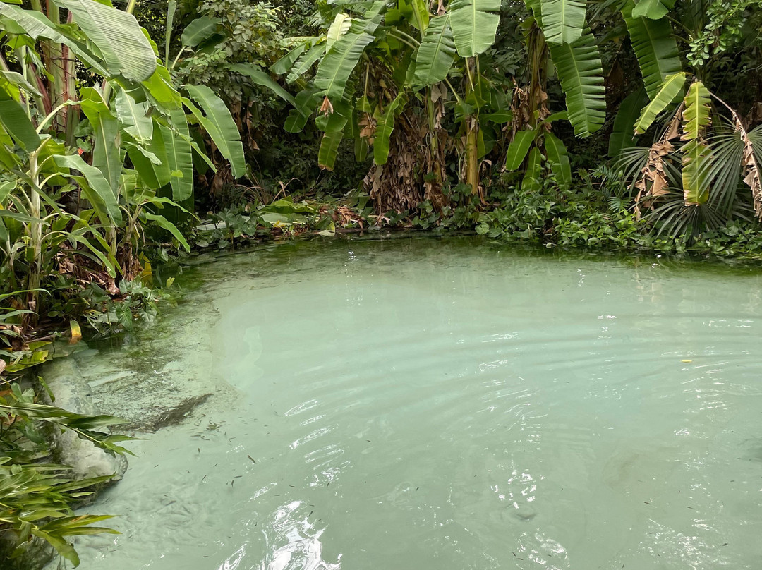 JALAPÃO OFICIAL-Palmas必去景点