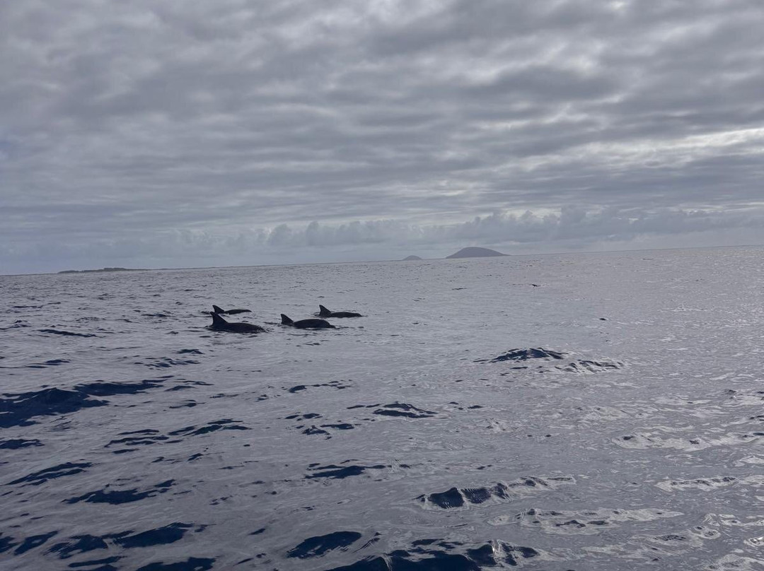 Sea Serenity Excursions-Bain Boeuf必去景点