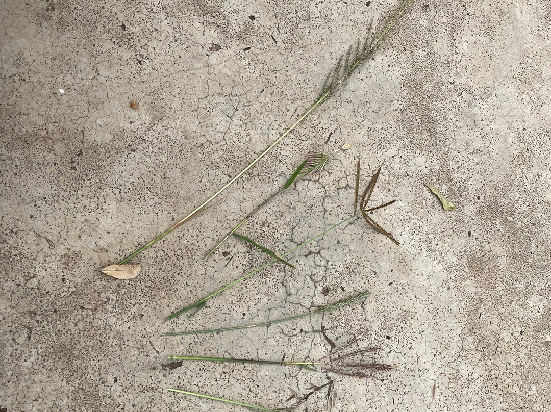 Sunworld Safaris-内罗毕必去景点