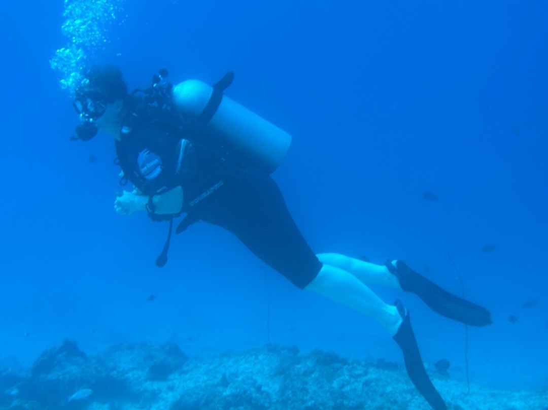 The Zanzibar Dive Centre, One Ocean-基万嘎必去景点