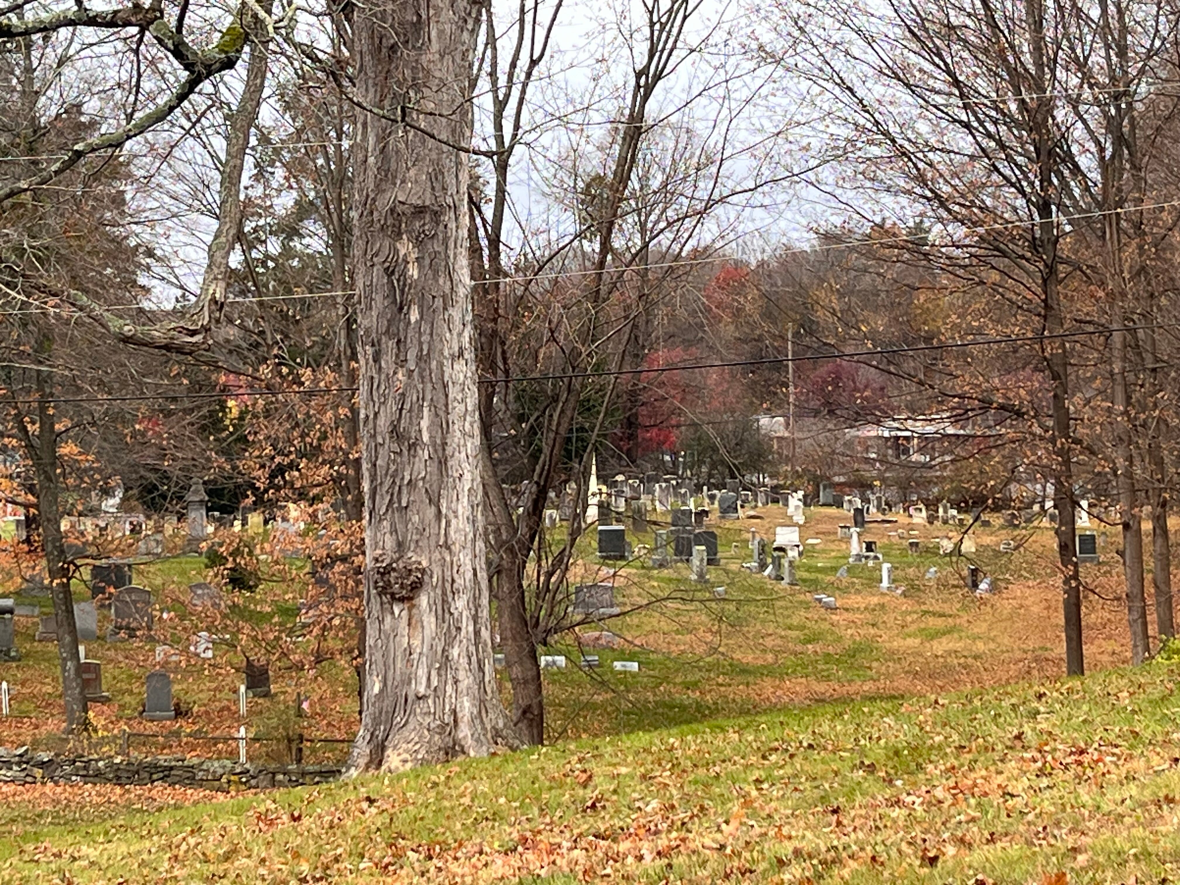 Brinckerhoff Inn-官方