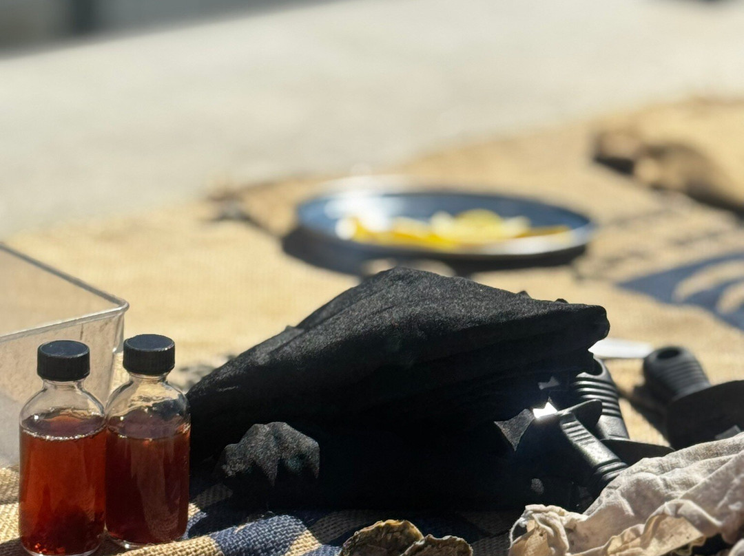 Sydney Oyster Farm Tours-Mooney Mooney必去景点