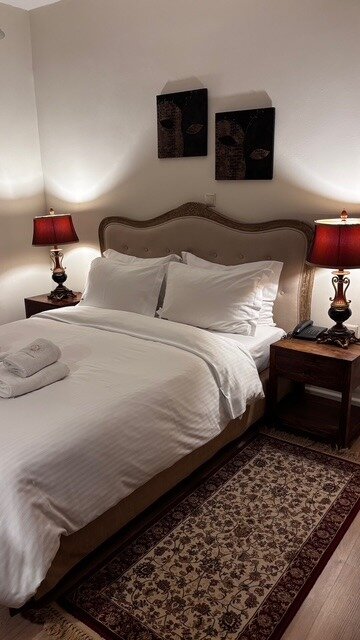 Xenonas Iresioni-客卧