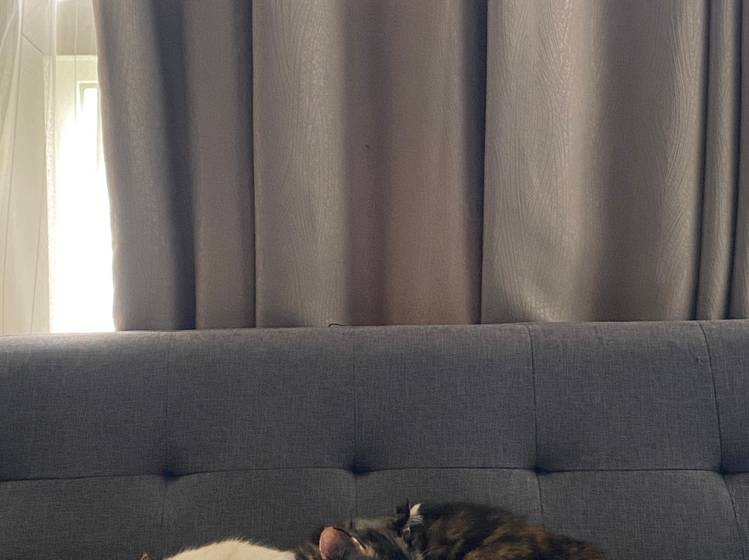 Grande Valore Hotel & Serviced-Apartment主图