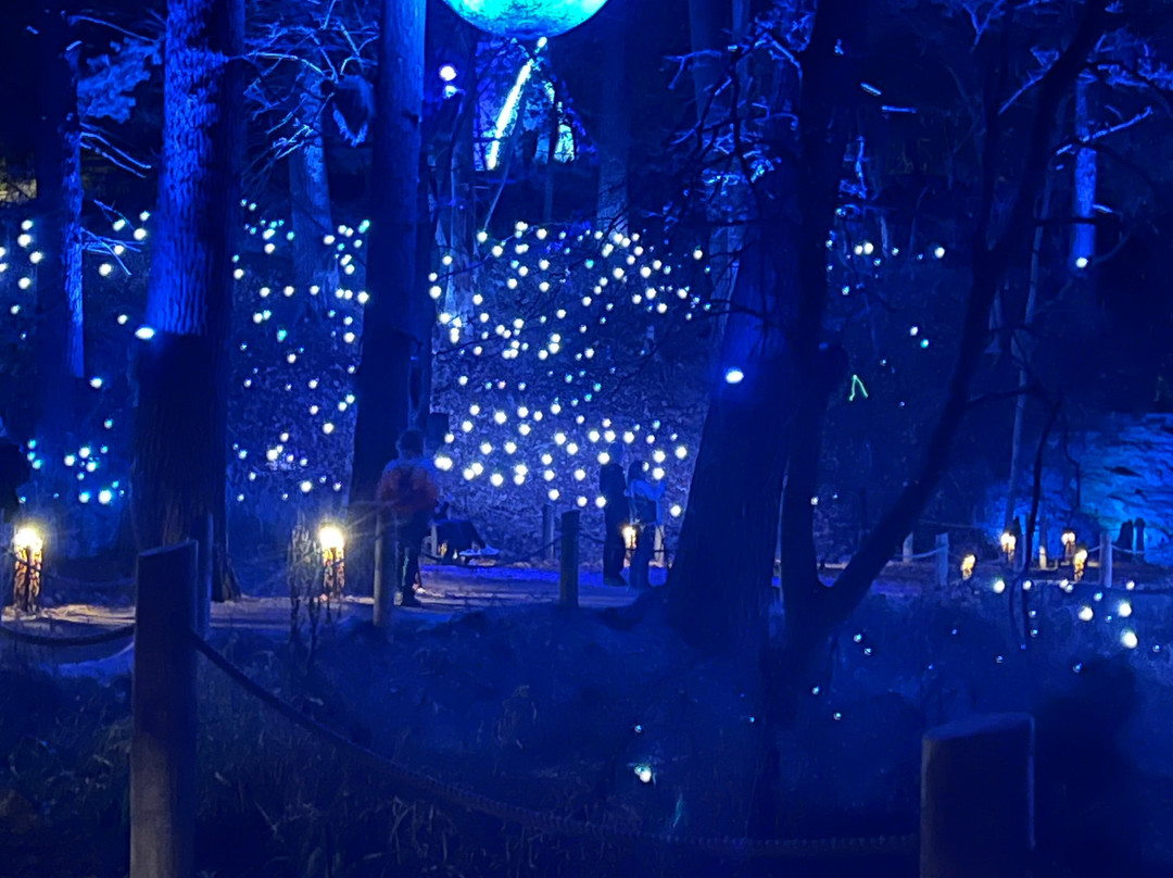 Aquavia Lumina-Lake Delton必去景点