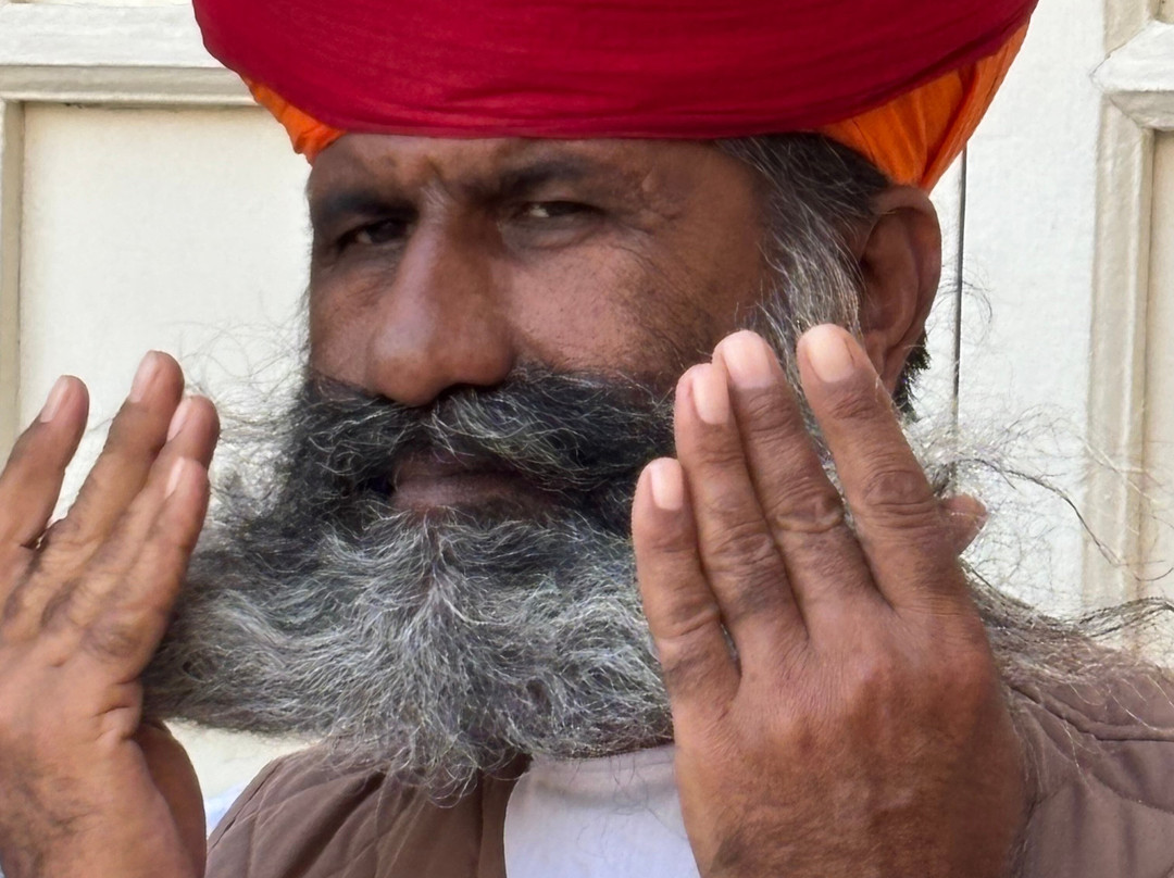 V Care Tours-斋蒲尔必去景点