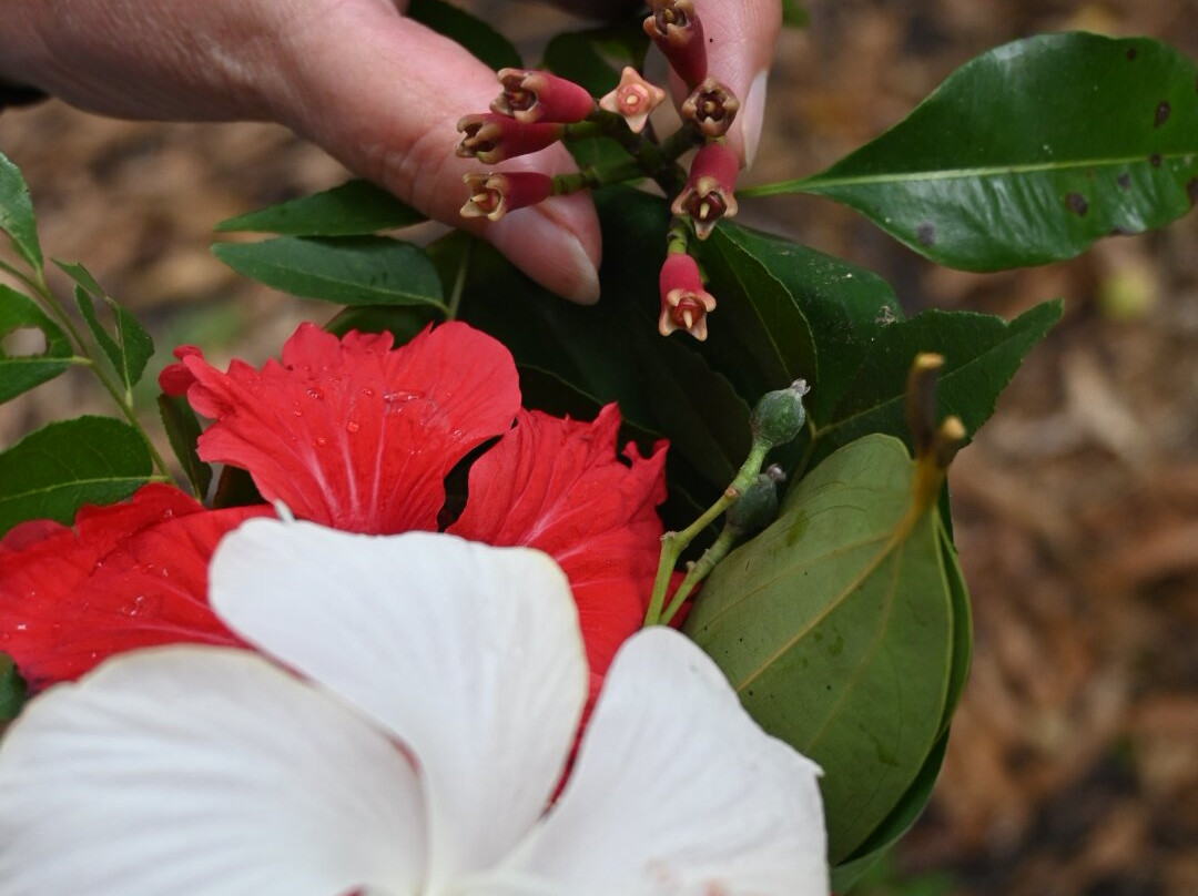 Bwa Mzee Spice Farm-基万嘎必去景点
