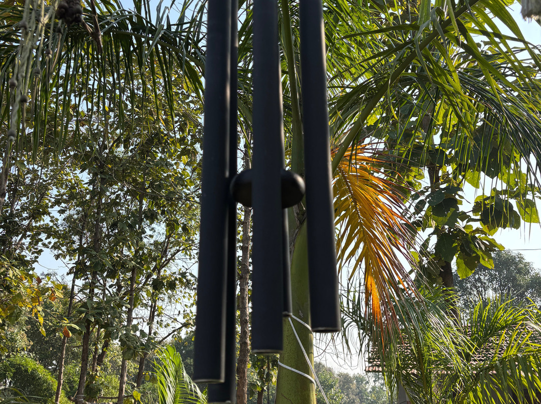 Bhimson’s Agro Park & Tourism-Gondia必去景点