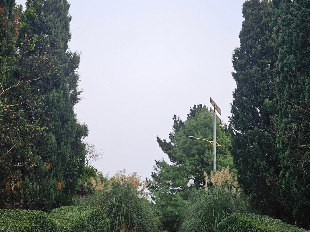 Southern Cultures Park-艾德勒必去景点