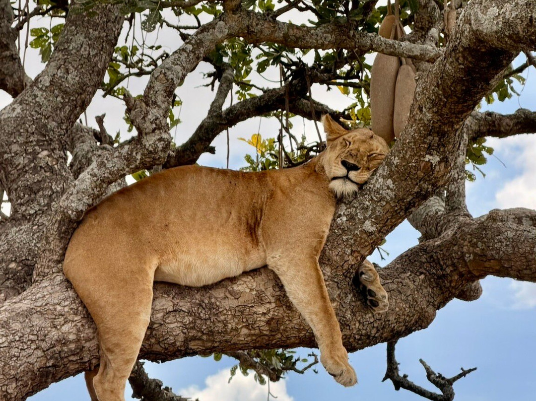 Tanzania-Experience-阿鲁沙必去景点