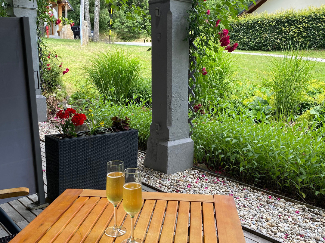 Penzion Modry Jelen主图