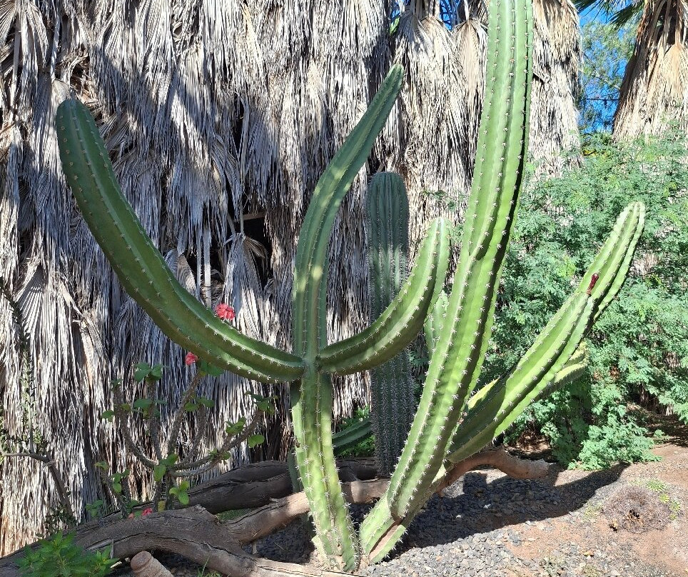 Viveiro, Botanical Garden & Zoo di Terra-圣塔玛丽亚必去景点