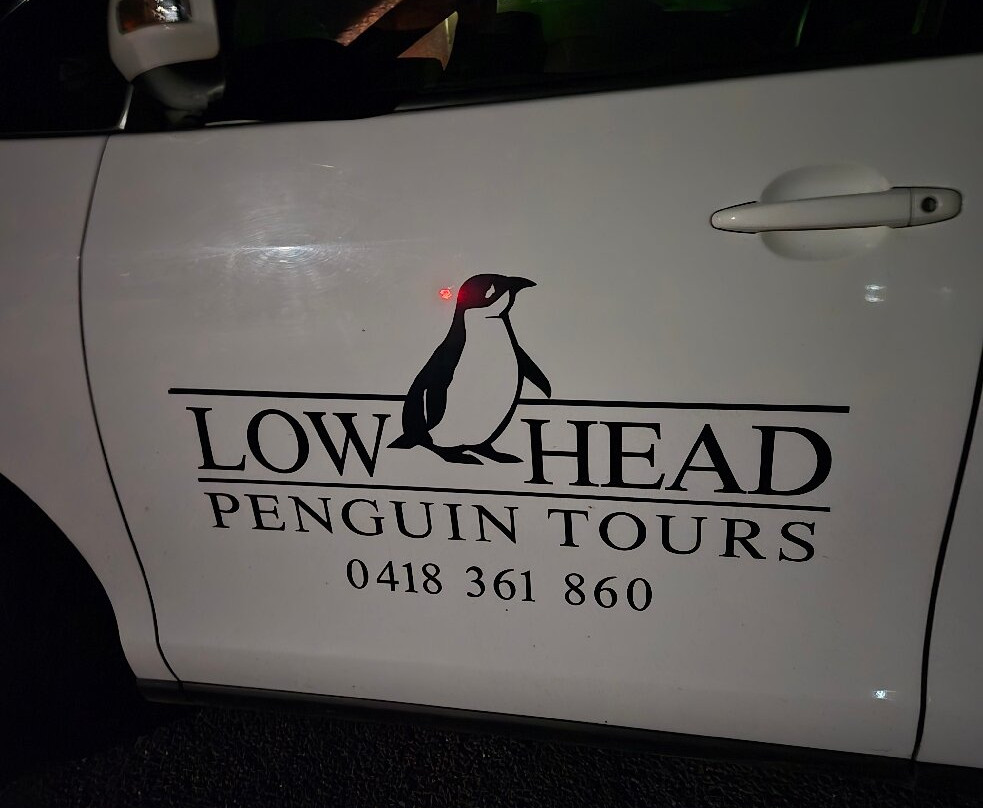 Low Head Penguin Tours-Low Head必去景点
