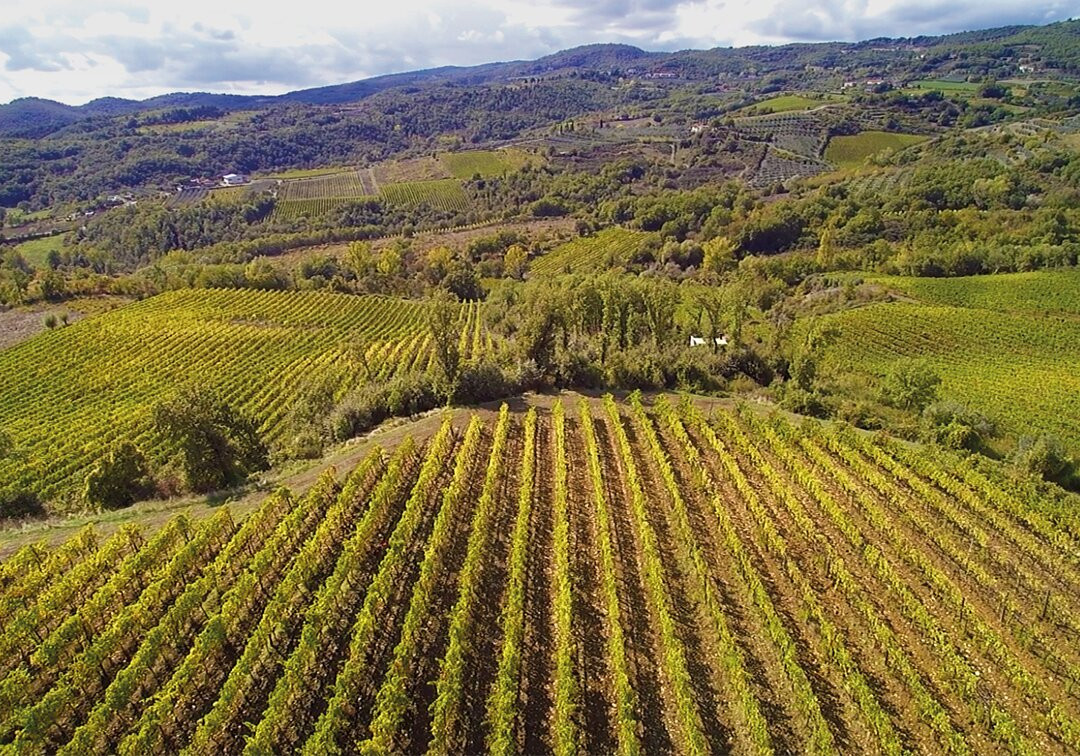 Azienda Agricola Cincinelli-Capolona必去景点